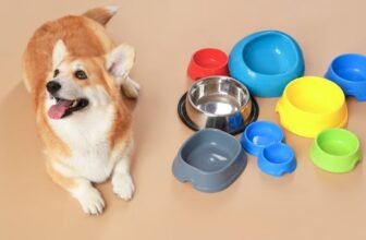 Best Dog Bowls for Teacup Puppies (Anti-Slip & Portion Control Guide)