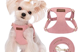 Best Harness for Teacup Dogs (Safe, No-Pull & Lightweight Options)