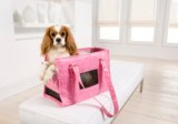 Best Dog Carriers for Teacup Dogs (Safe & Airline Approved Options)