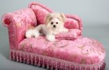 Top Rated Dog Beds for Teacup Breeds (Comfort & Joint Support Guide)