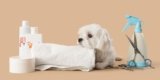 Essential Grooming Products for Small and Teacup Dogs