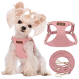 Best Harness for Teacup Dogs (Safe, No-Pull & Lightweight Options)